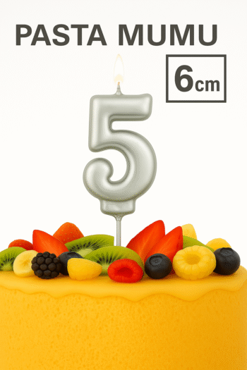 EAGLE CANDLE Gümüş Rakamlı Pasta Mumu 5  (6 cm)